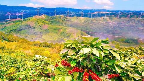 Cà phê Khe Sanh: Bản hành khúc trăm năm