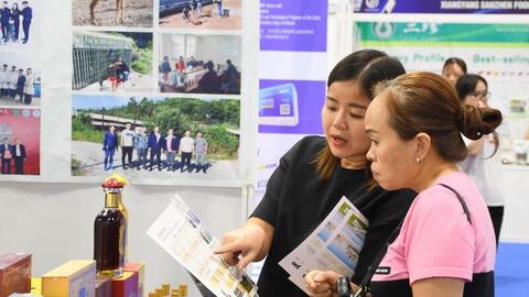 VIIEF 2026 mở rộng kết nối giao thương Việt Nam - Trung Quốc