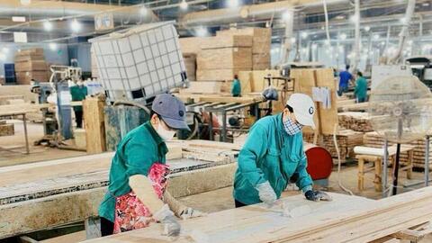 Gia Lai: Sản xuất công nghiệp, xuất khẩu và bán lẻ đồng loạt tăng