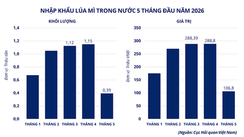 Lo ngại nguồn cung toàn cầu, giá lúa mì bật tăng mạnh