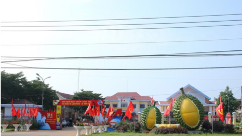 Sầu riêng - ‘đòn bẩy’ phát triển kinh tế Ea Knuếc