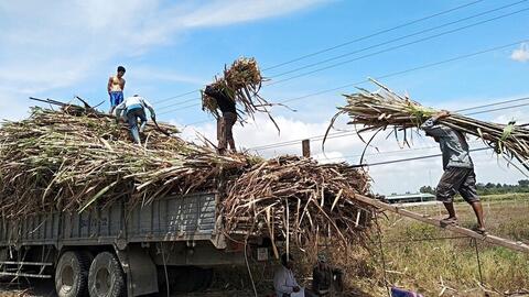 Bộ Công Thương công bố kết quả rà soát mới nhất về chống lẩn tránh đường mía