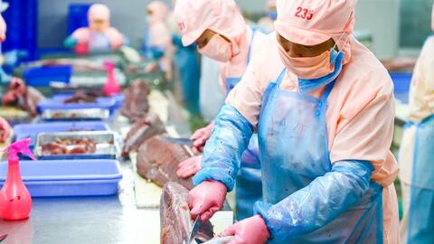 VIFTA mở thêm dư địa cho hàng Việt tại thị trường Israel