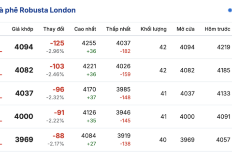 Giá cà phê hôm nay 26/9/2025: Bật tăng 3.000 đồng/kg