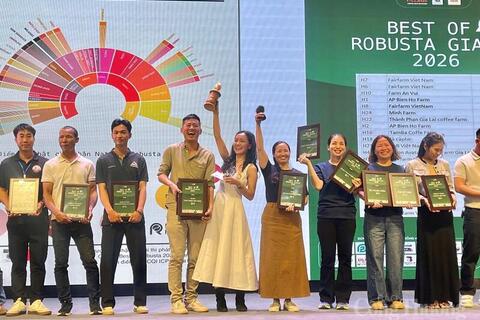 Nâng tầm giá trị cà phê Robusta Gia Lai