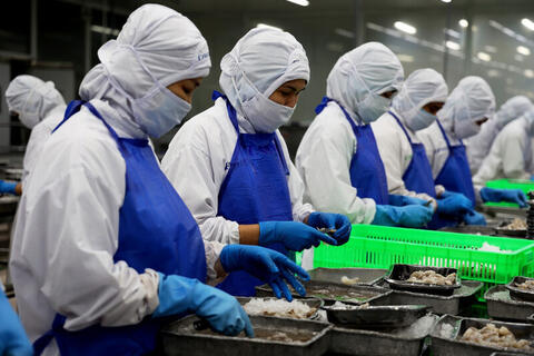 EU siết tiêu chuẩn bao bì: Doanh nghiệp đối mặt áp lực chuyển đổi