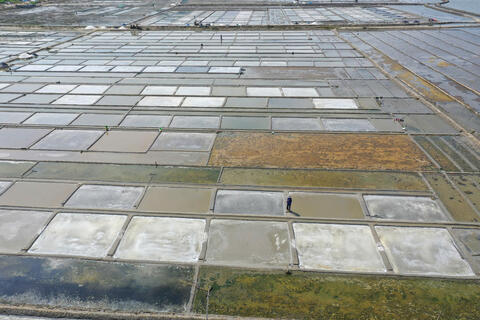 Quảng Ngãi: Giá muối tăng kỷ lục, diêm dân Sa Huỳnh phấn khởi