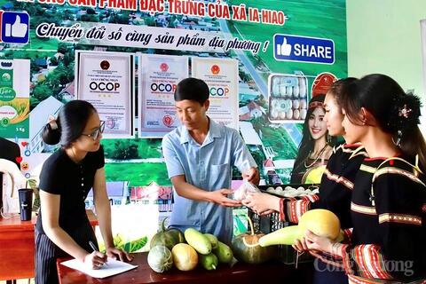 Gia Lai: Lãnh đạo xã lên sóng bán nông sản, gây quỹ cho 1.000 học sinh