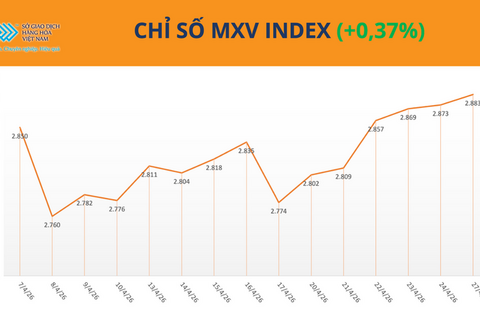 Giá đậu tương bật tăng lên cao