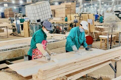 Gia Lai: Sản xuất công nghiệp, xuất khẩu và bán lẻ đồng loạt tăng