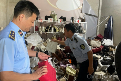 Quảng Trị: Siết kiểm tra hàng giả, vi phạm sở hữu trí tuệ
