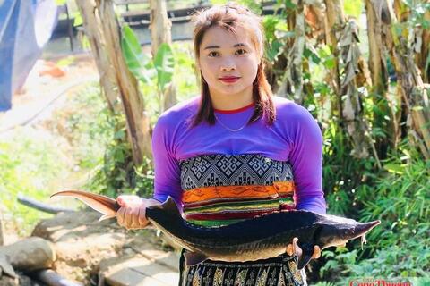 Thanh Hóa: Cá tầm OCOP 3 sao và khát vọng làm giàu nơi vùng cao