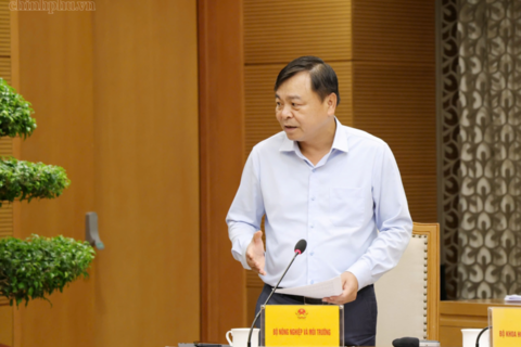Chậm nhất ngày 15/7 trình Chính phủ Nghị quyết tháo gỡ điểm nghẽn xuất khẩu nông sản