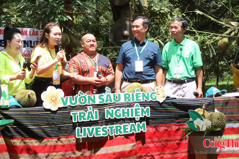 Bí thư Đảng ủy xã livestream bán sầu riêng, kết nối thị trường quốc tế