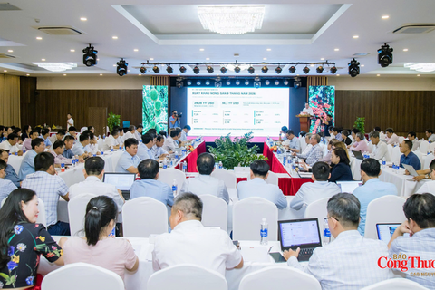 Chủ động ứng phó El Niño, triển khai sản xuất năm 2027