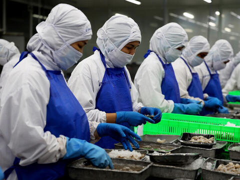 EU siết tiêu chuẩn bao bì: Doanh nghiệp đối mặt áp lực chuyển đổi