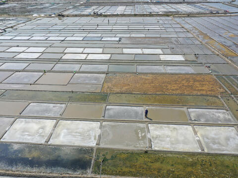 Quảng Ngãi: Giá muối tăng kỷ lục, diêm dân Sa Huỳnh phấn khởi