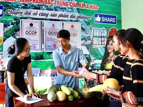 Gia Lai: Lãnh đạo xã lên sóng bán nông sản, gây quỹ cho 1.000 học sinh