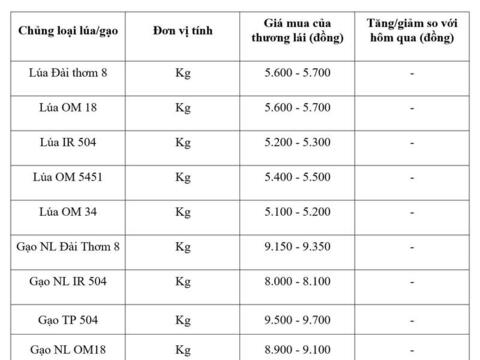 Giá lúa gạo hôm nay ngày 26/3: Gạo xuất khẩu đảo chiều tăng nhẹ