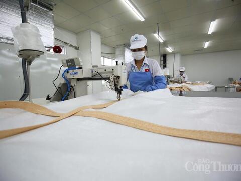 Paraguay: Điểm đến tiềm năng cho doanh nghiệp Việt tại Nam Mỹ