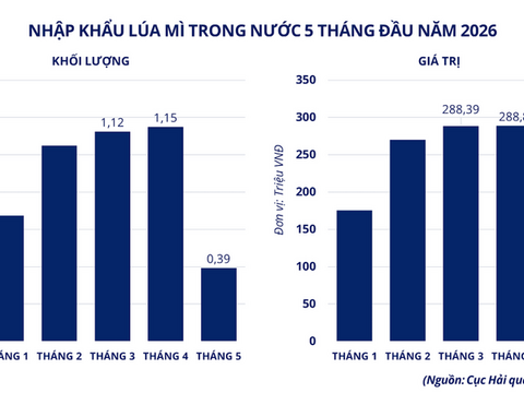 Lo ngại nguồn cung toàn cầu, giá lúa mì bật tăng mạnh