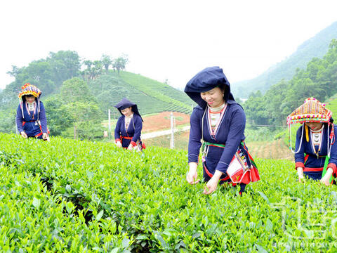 Chính phủ giao kế hoạch đầu tư công trung hạn vốn ngân sách trung ương giai đoạn 2026 - 2030
