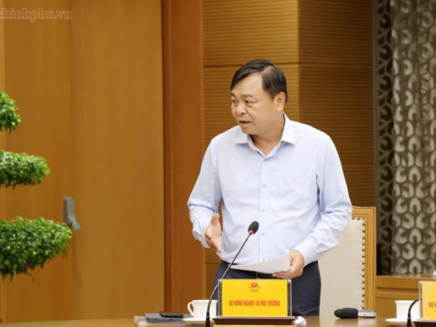 Chậm nhất ngày 15/7 trình Chính phủ Nghị quyết tháo gỡ điểm nghẽn xuất khẩu nông sản