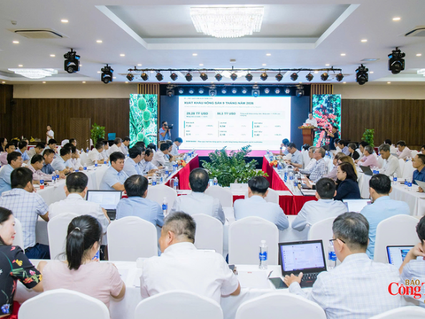 Chủ động ứng phó El Niño, triển khai sản xuất năm 2027