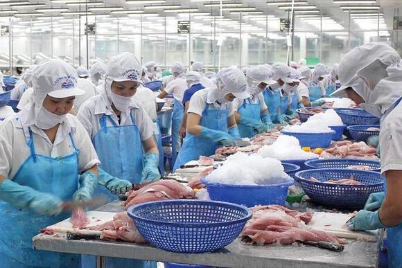 11 tháng, xuất khẩu cá tra Việt Nam vượt mốc 2 tỷ USD