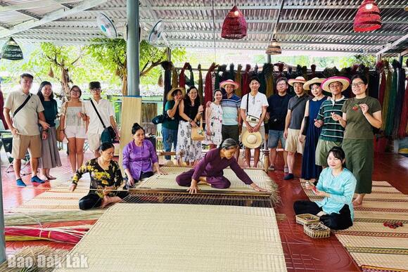 Hợp tác xã trẻ cần trợ lực để tiếp tục hành trình khởi nghiệp