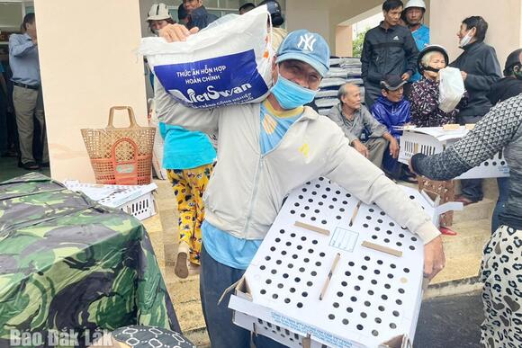 Chung tay giúp người dân vùng lũ tái sản xuất