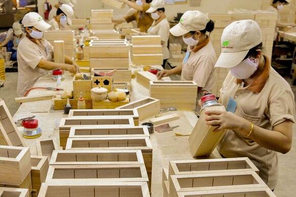 Năm 2025, xuất khẩu gỗ và lâm sản đạt 18,5 tỷ USD