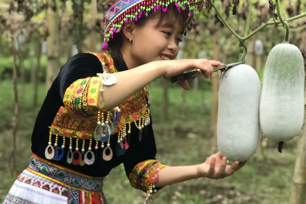 Nâng tầm sản vật miền núi bằng thương hiệu