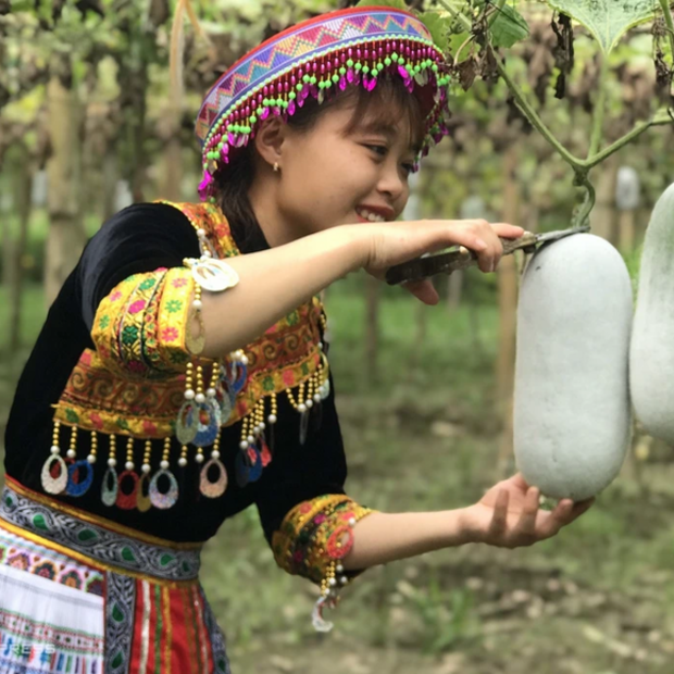 Nâng tầm sản vật miền núi bằng thương hiệu