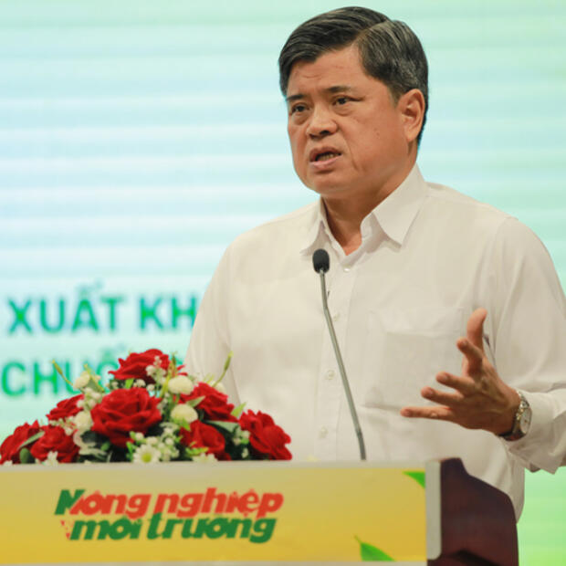 Chanh leo, chuối, dứa, dừa: Nhóm trái cây tỷ USD đang chờ bứt phá
