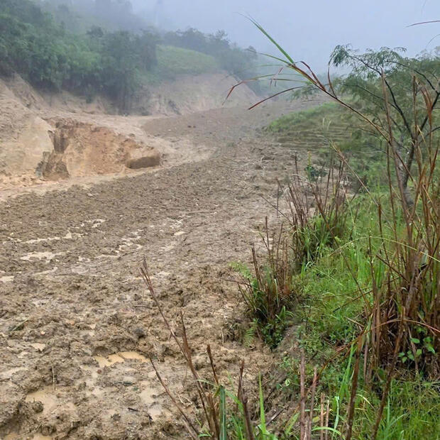 Quảng Ngãi: Ngọn núi đổ ập, cuốn trôi hoàn toàn hoa màu của người dân