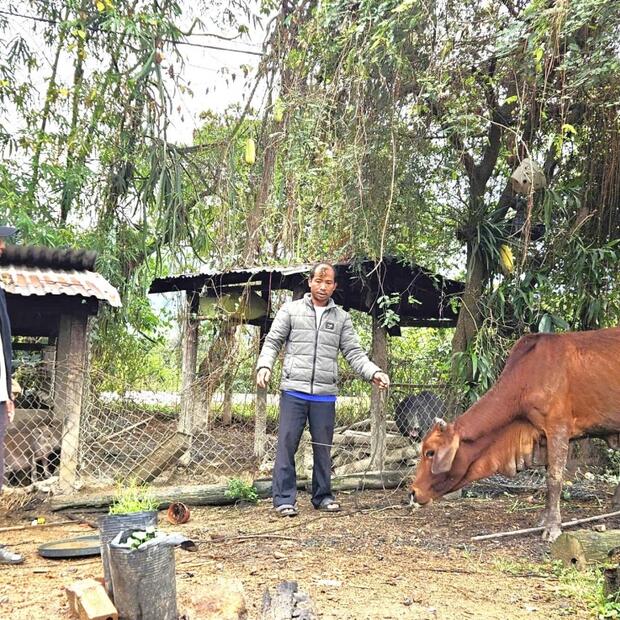 Mở hướng thoát nghèo bền vững ở xã Yang Mao