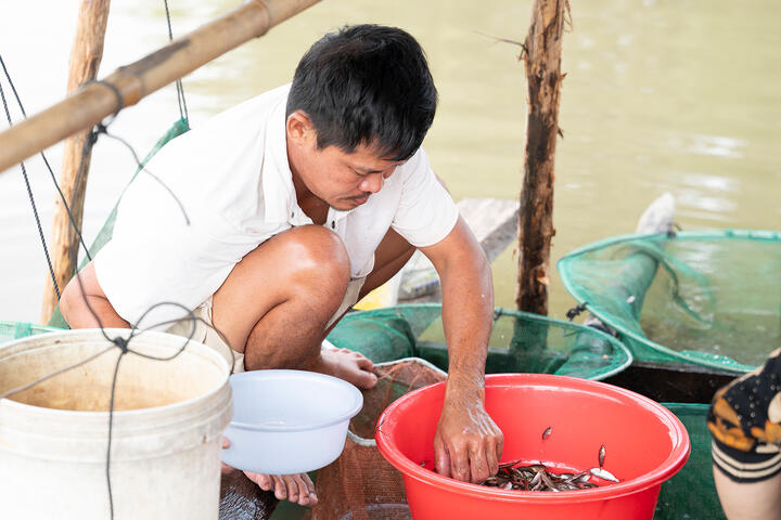 Theo con nước nhảy bờ