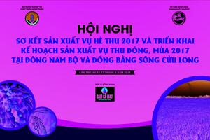 Hội nghị sơ kết sản xuất vụ hè thu 2017 và triển khai kế hoạch sản xuất vụ thu đông, mùa 2017 tại Đông Nam Bộ và Đồng bằng Sông Cửu Long