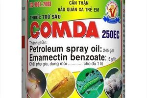 Thuốc trừ sâu Comda 250EC
