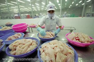 Quy phạm thực hành chế biến sản phẩm cá tra fillet đông lạnh
