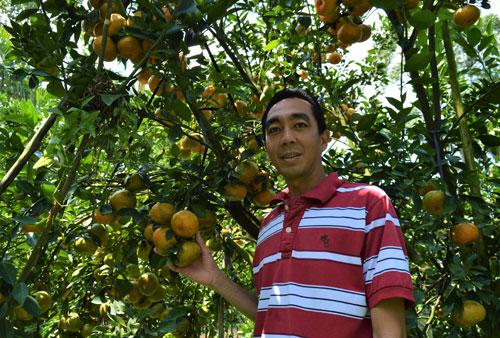 nong nghiep dong bang “khat” von fdi hinh anh 1