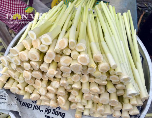 gion ngon dua bon bon dac san dat mui hinh anh 5
