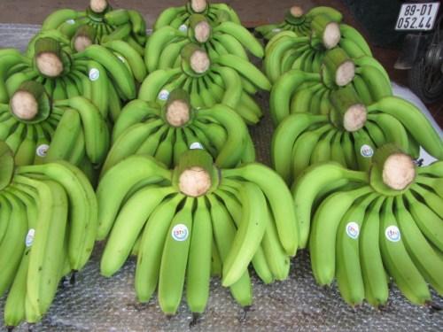 8-nong-san-giup-nong-dan-thu-tien-ty-moi-nam-1
