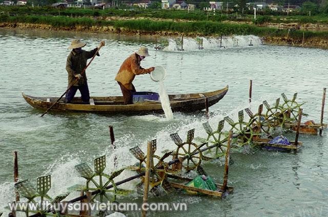 Người dân thôn Đông Điền xử lý nước trong ao trước khi thả giống    Ảnh: Tiến Sỹ