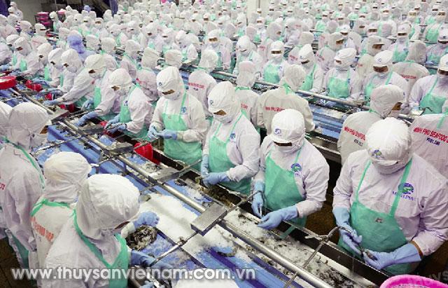 Cà Mau có thế mạnh về chế biến tôm xuất khẩu   Ảnh: Thiên Trường