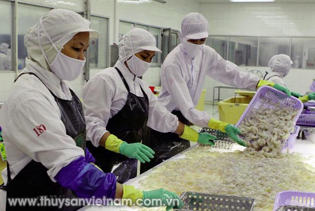 Xuất khẩu thủy sản phải đáp ứng những yêu cầu chất lượng của nhà nhập khẩu   Ảnh: An Đăng