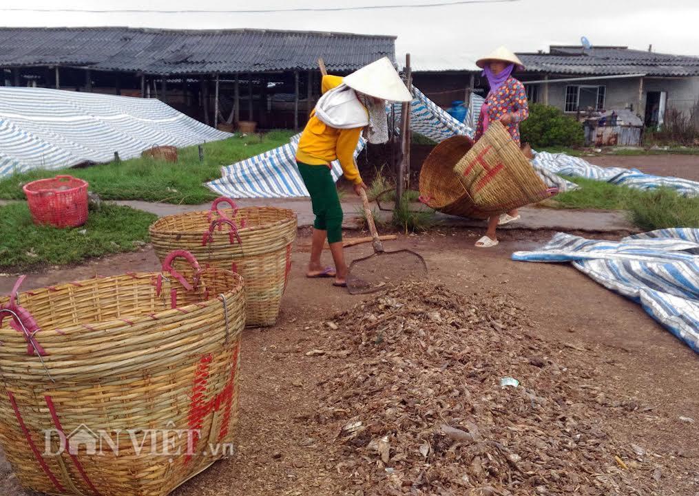 nghe la: phoi ca phan thu lai 15 trieu/thang hinh anh 2