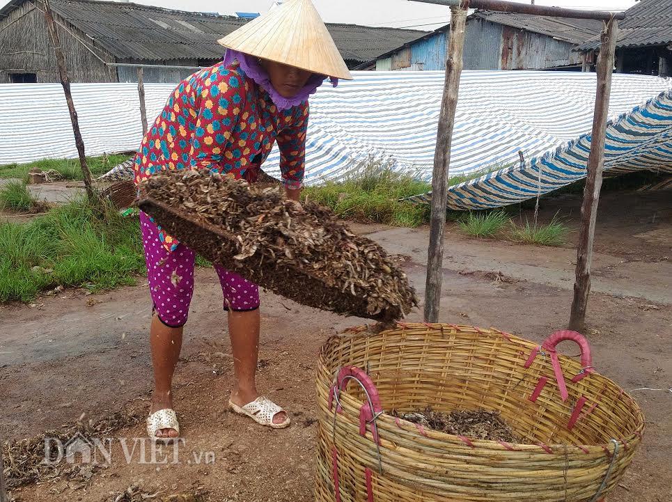 nghe la: phoi ca phan thu lai 15 trieu/thang hinh anh 3