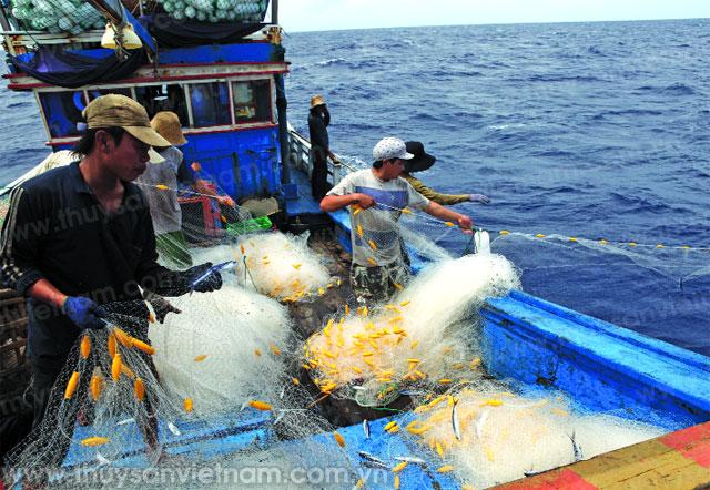 Đảm bảo an toàn cho ngư dân và tàu thuyền trong mùa mưa bão